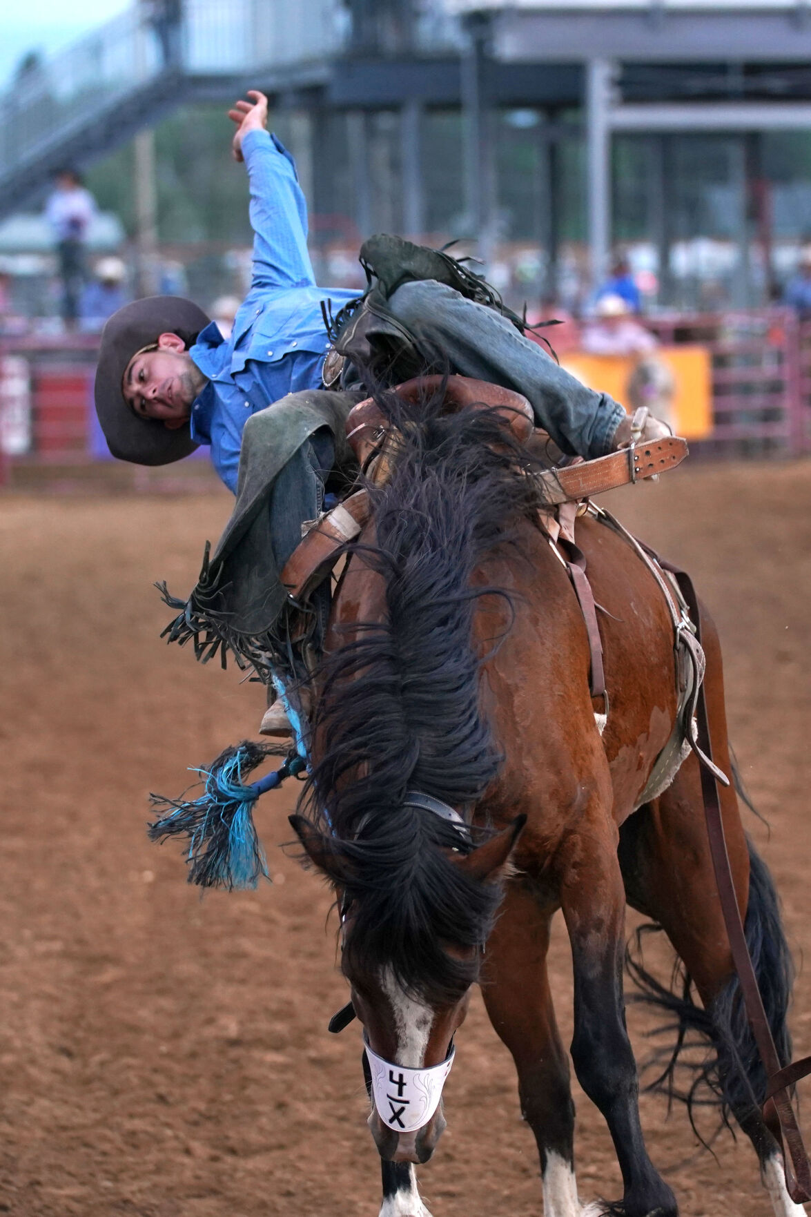 WYO Rodeo Day 4 016.jpg